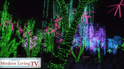 How to create a Parol
