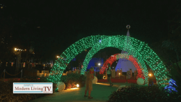 There’s Something for Everyone at Filinvest City