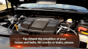 Uly gives tips on how to prepare your car for roadtrips