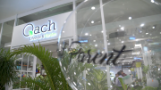 Indoor Urban Gardening || Qach Lifestyle & Garden (Part 1)