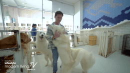 Let these animals bring out happiness in you that humans can’t
